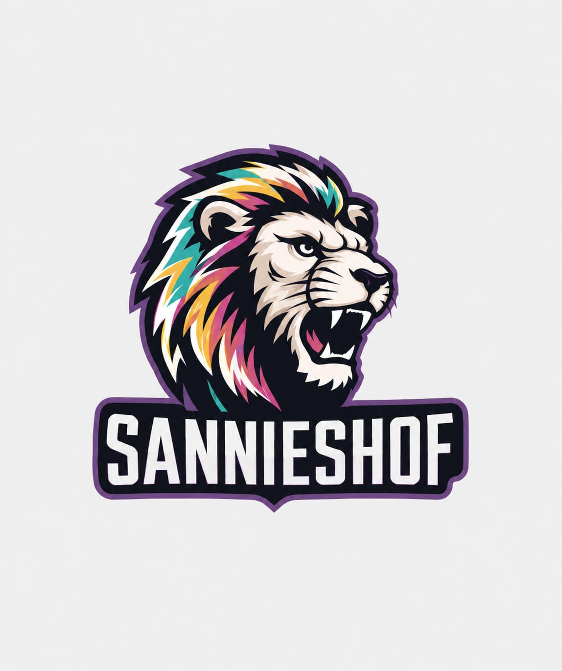 Sannieshof Netbalklub logo